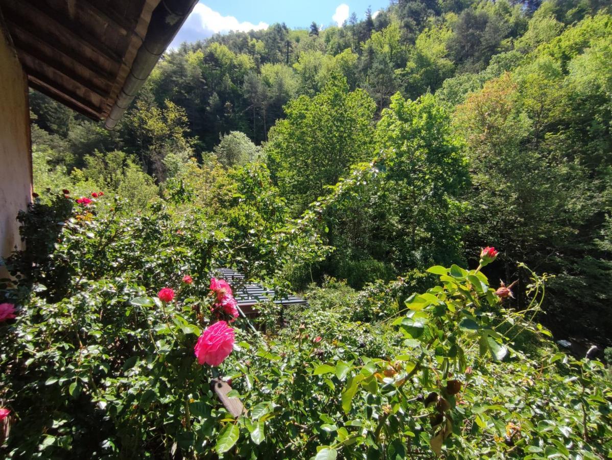 La Bollène-VésubieMoulin Vieux住宿加早餐旅馆 外观 照片