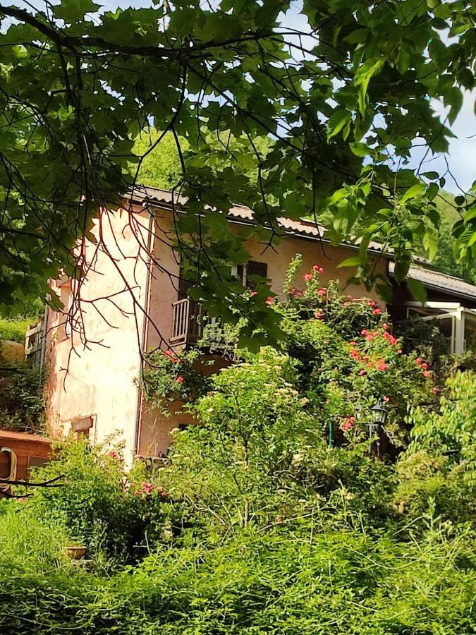 La Bollène-VésubieMoulin Vieux住宿加早餐旅馆 外观 照片