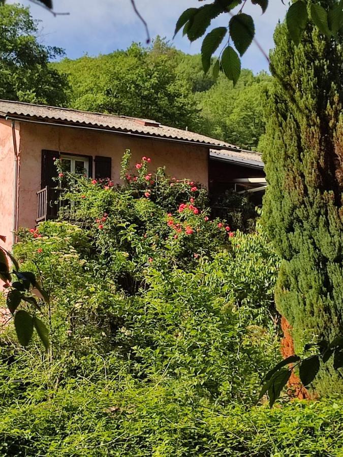 La Bollène-VésubieMoulin Vieux住宿加早餐旅馆 外观 照片